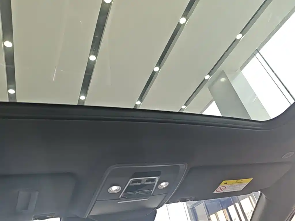 BYD PLUS New Energy — фото 18