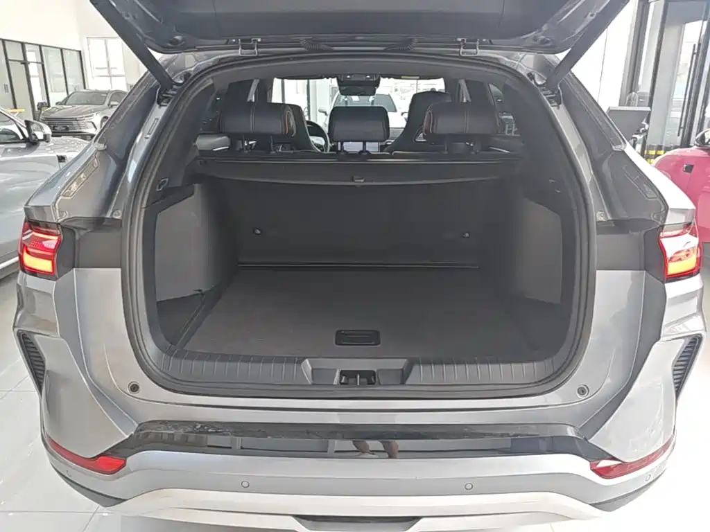 BYD PLUS New Energy — фото 19