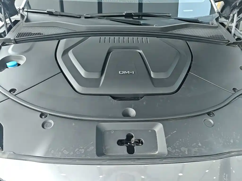 BYD PLUS New Energy — фото 20