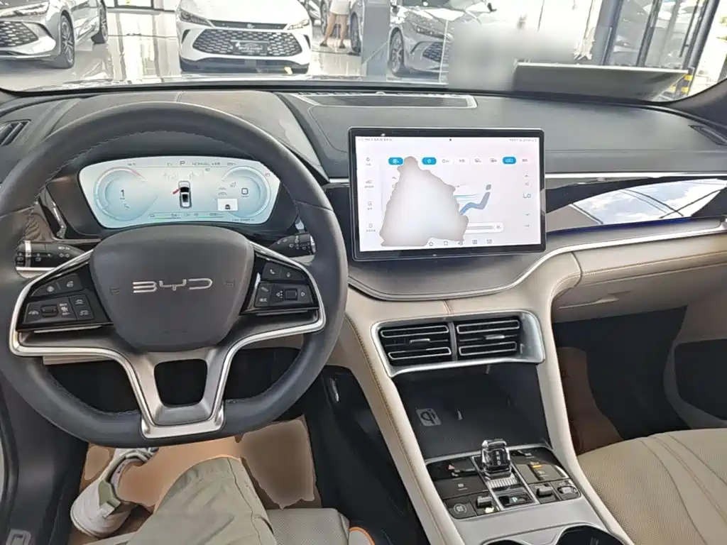 BYD PLUS New Energy — фото 10
