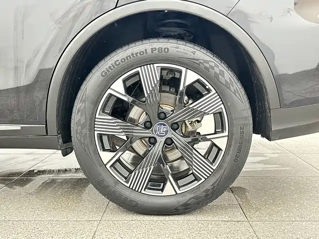 BYD Tang New Energy — фото 15