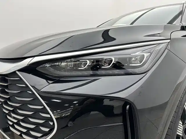 BYD Tang New Energy — фото 17