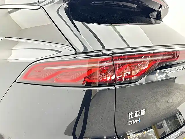 BYD Tang New Energy — фото 18