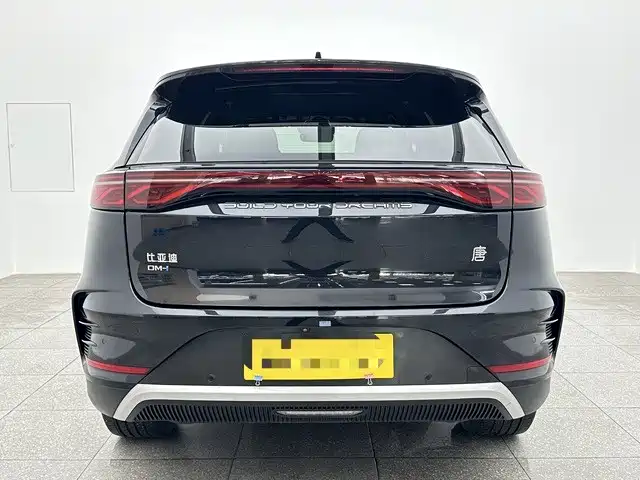 BYD Tang New Energy — фото 5