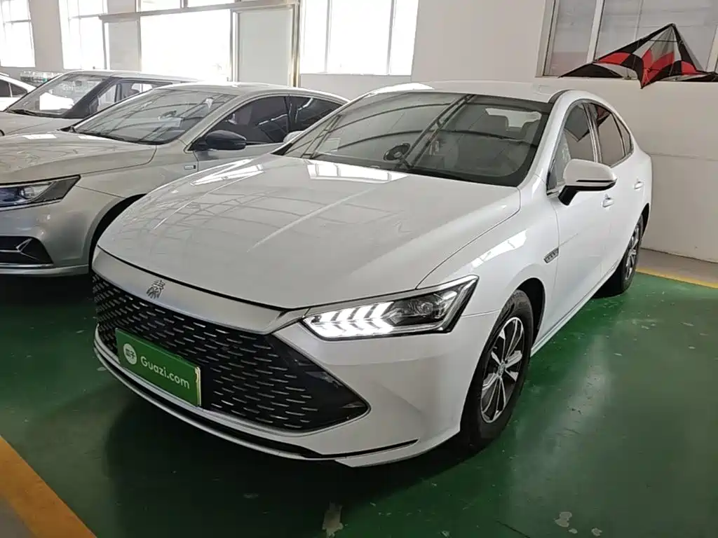 BYD Qin PLUS — фото 2