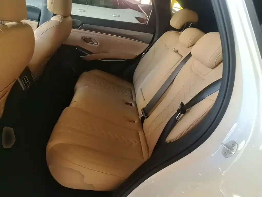 BYD L DM-i — фото 17