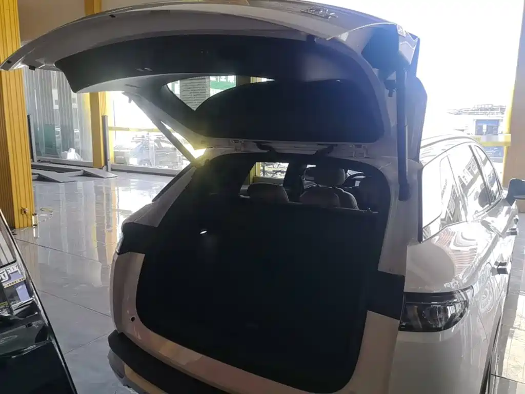 BYD L DM-i — фото 19