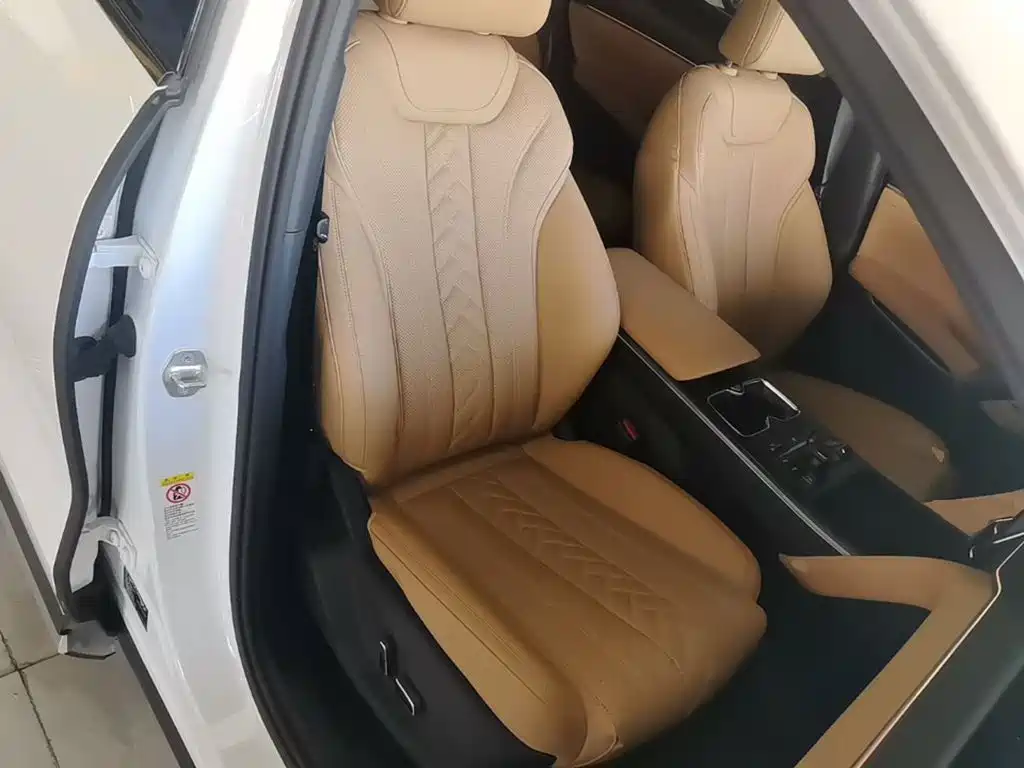 BYD L DM-i — фото 25