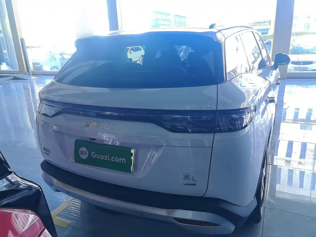 BYD L DM-i — фото 6