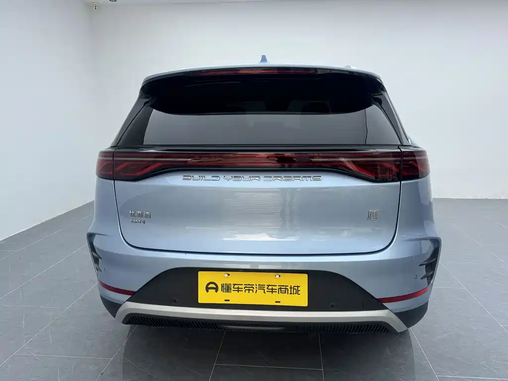 BYD Tang New Energy — фото 15