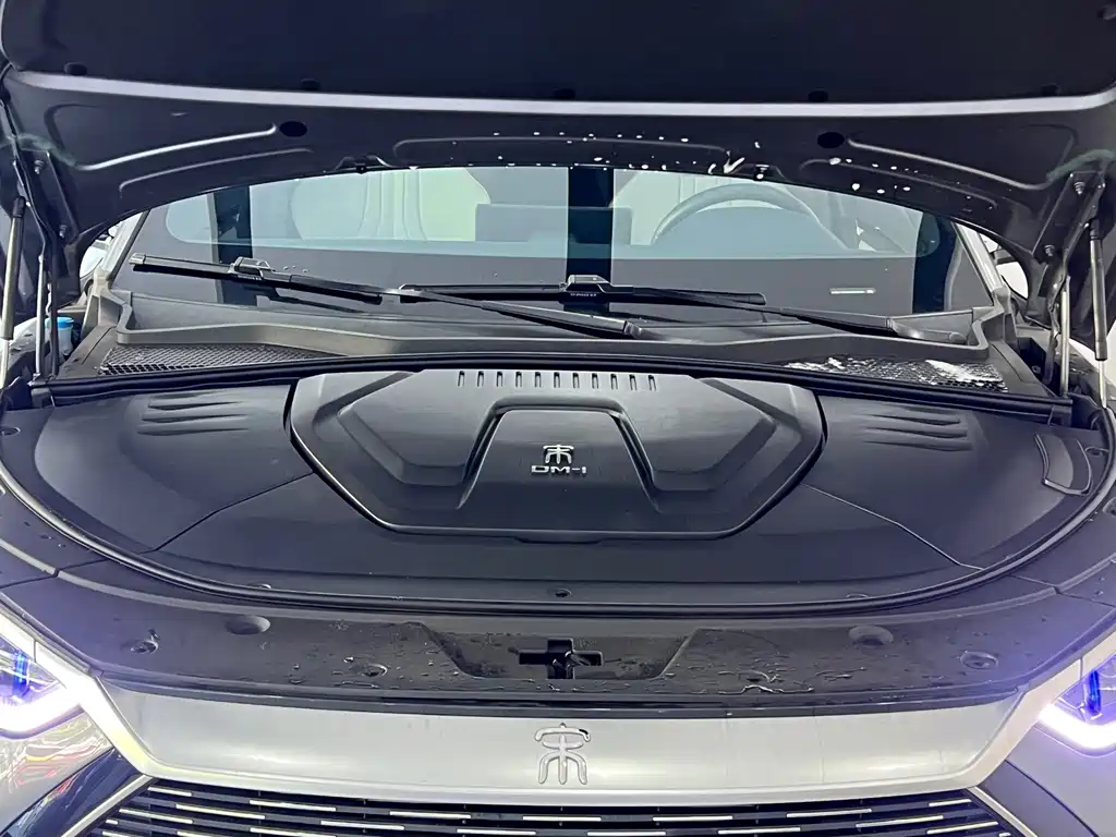 BYD PLUS New Energy — фото 4