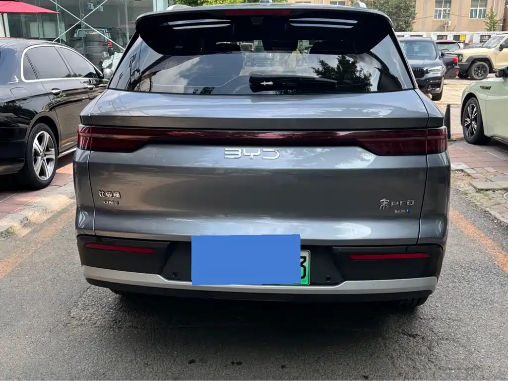 BYD Pro New Energy — фото 7