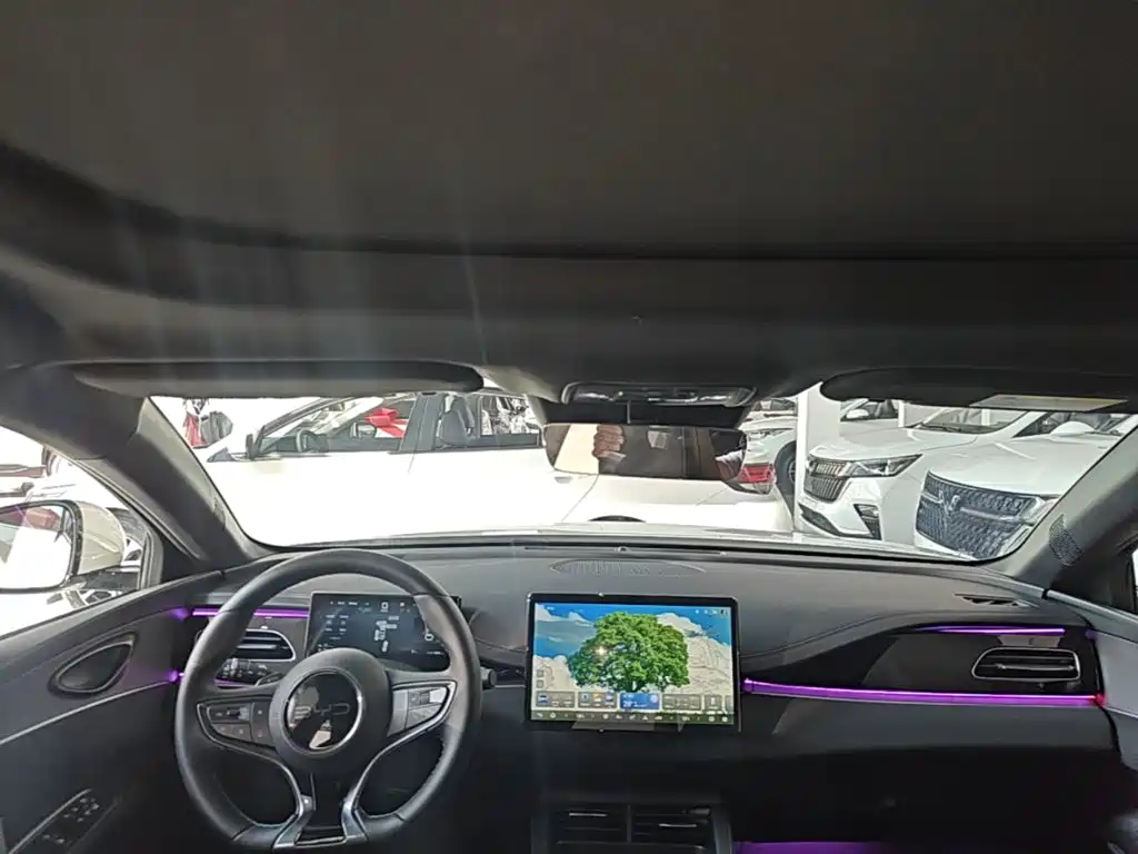 BYD Seal 06 — фото 18