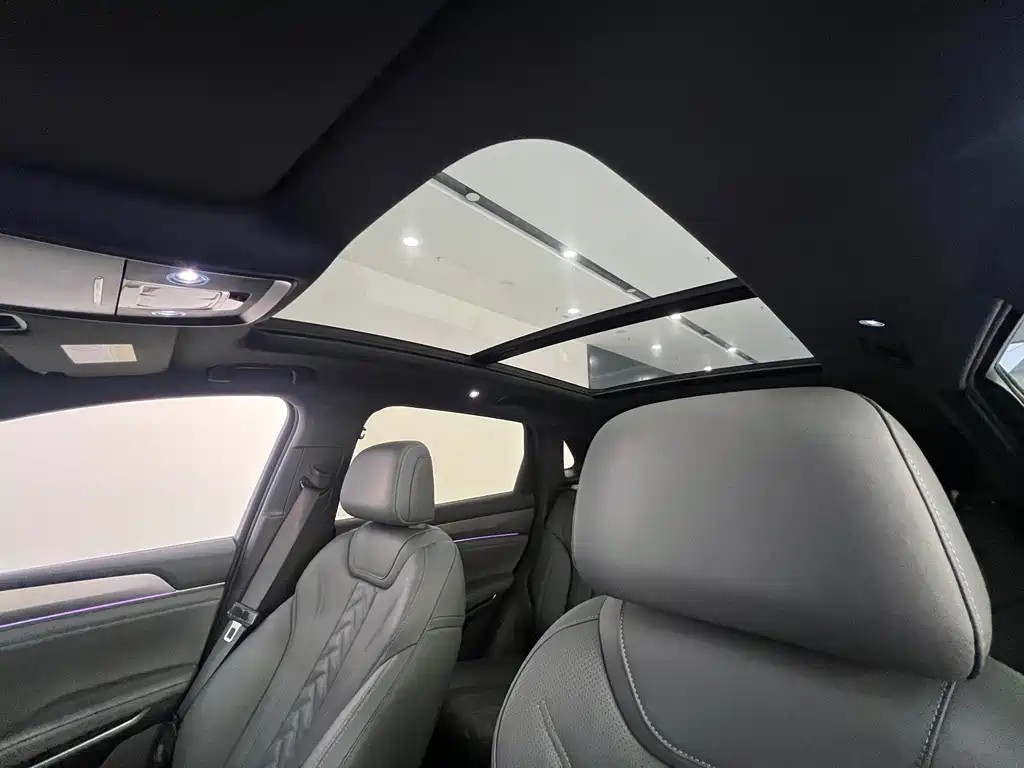 BYD L DM-i — фото 22