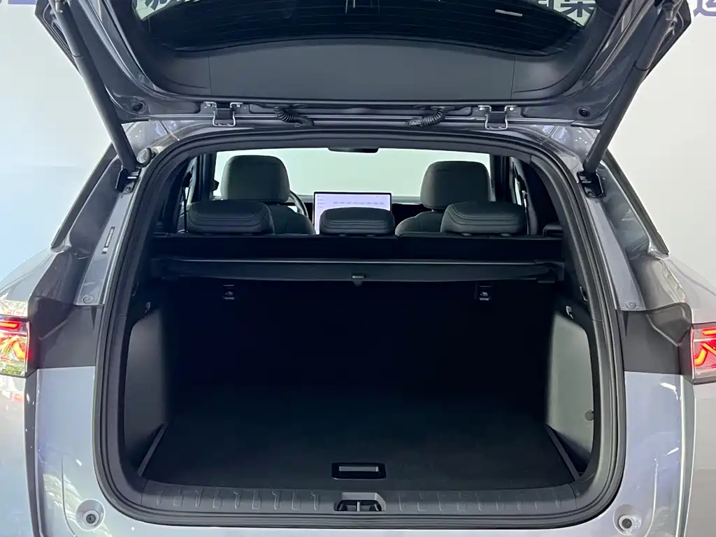 BYD L DM-i — фото 8