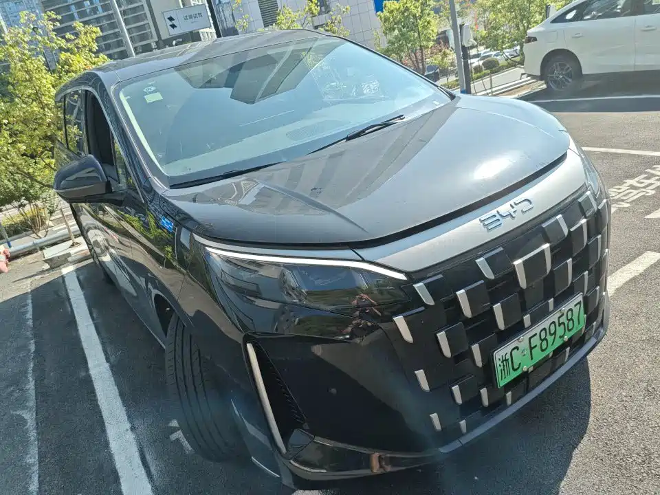 BYD M9 — фото 2