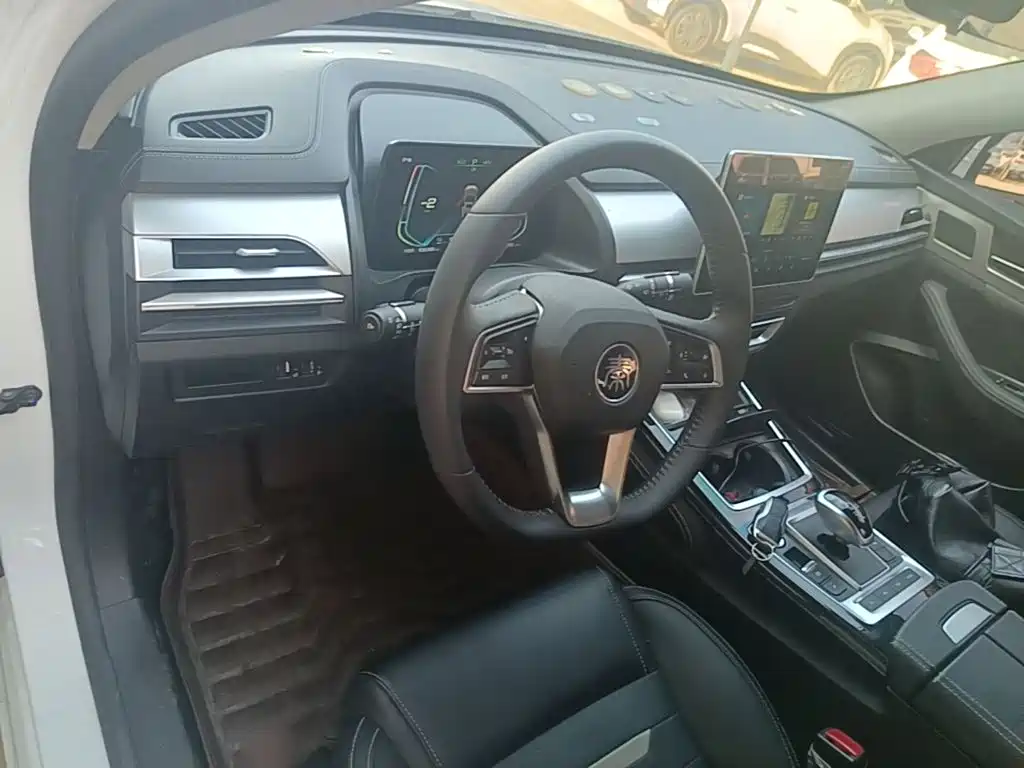 BYD Qin Pro NEV — фото 10