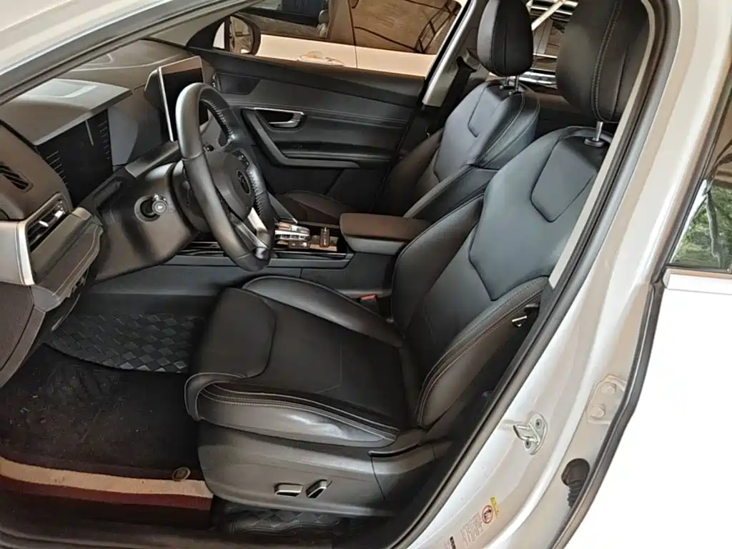 BYD Pro New Energy — фото 15