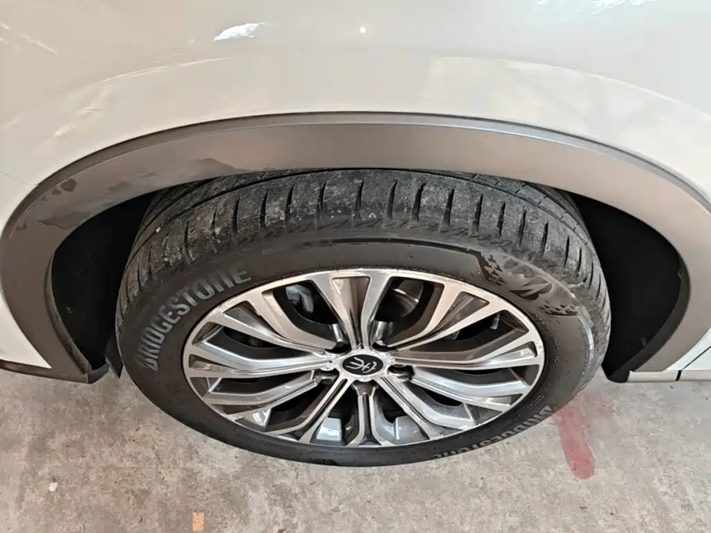BYD Pro New Energy — фото 23