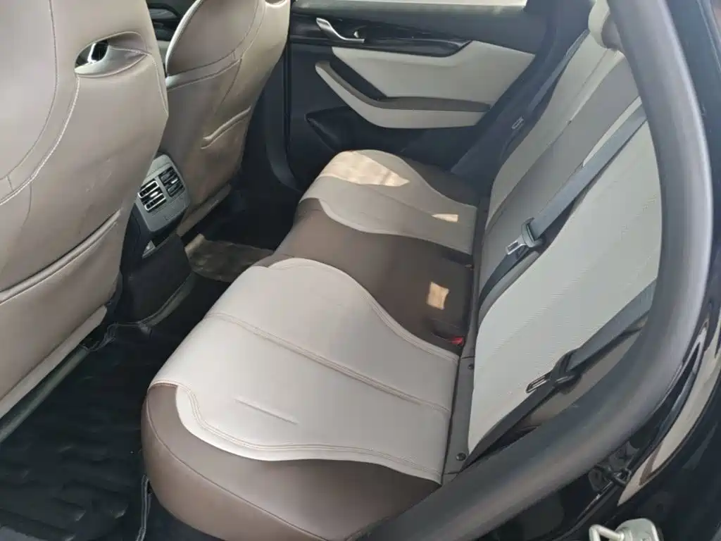 BYD Qin PLUS — фото 17