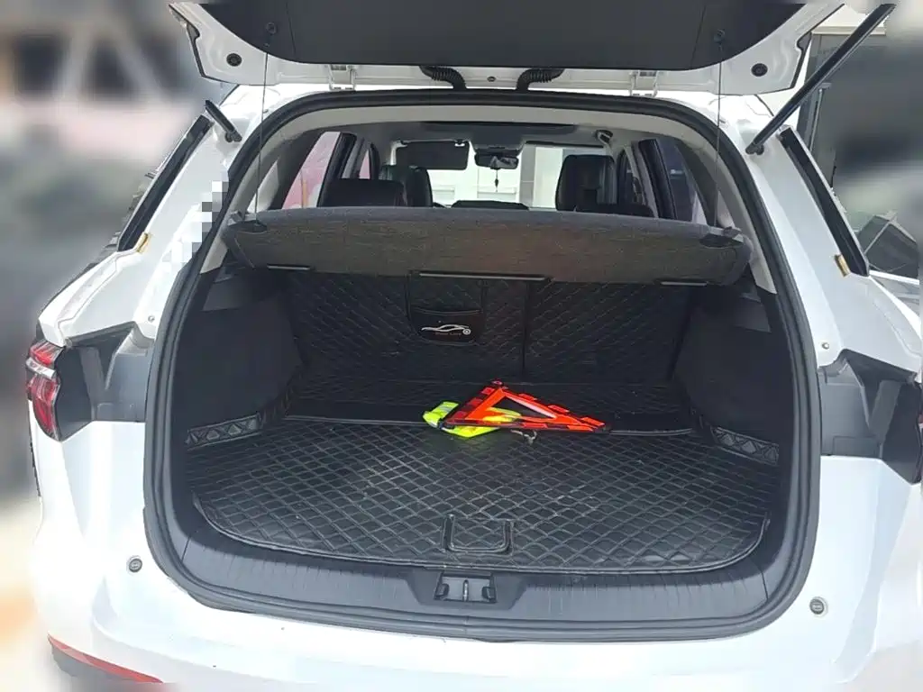 BYD Pro — фото 10