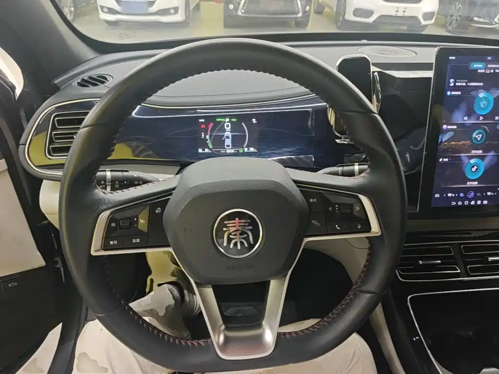 BYD Qin PLUS — фото 11