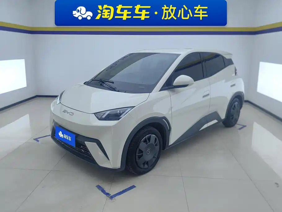 BYD Seagull