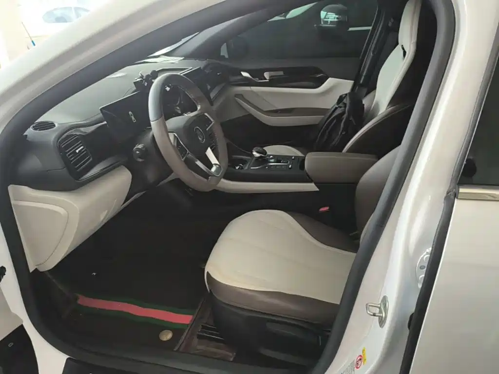 BYD Qin PLUS — фото 15