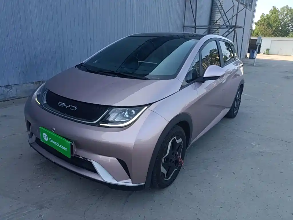 BYD Dolphin