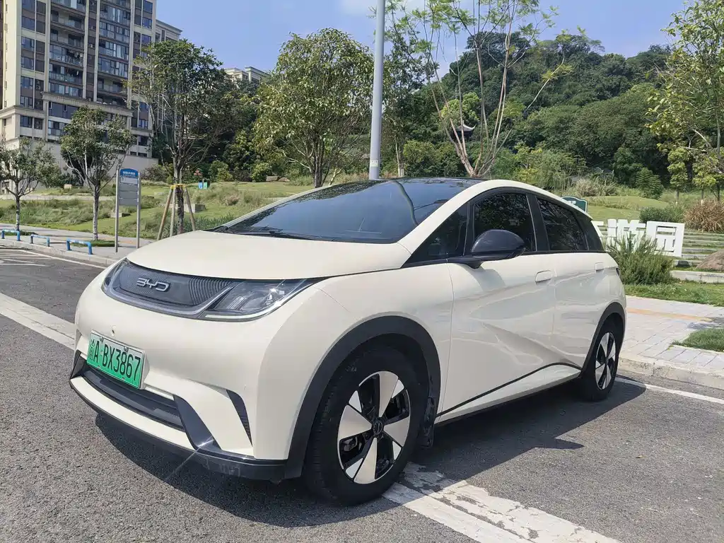 BYD Dolphin