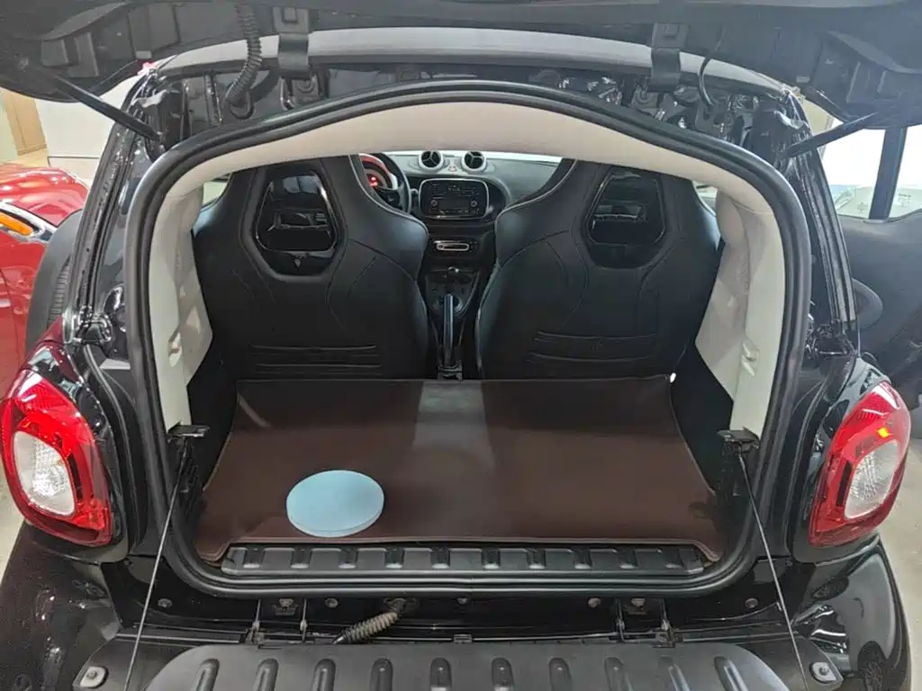 smart Smart Fortwo — фото 18