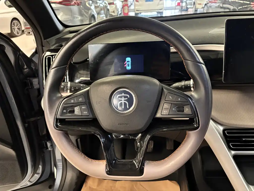 BYD Pro New Energy — фото 10