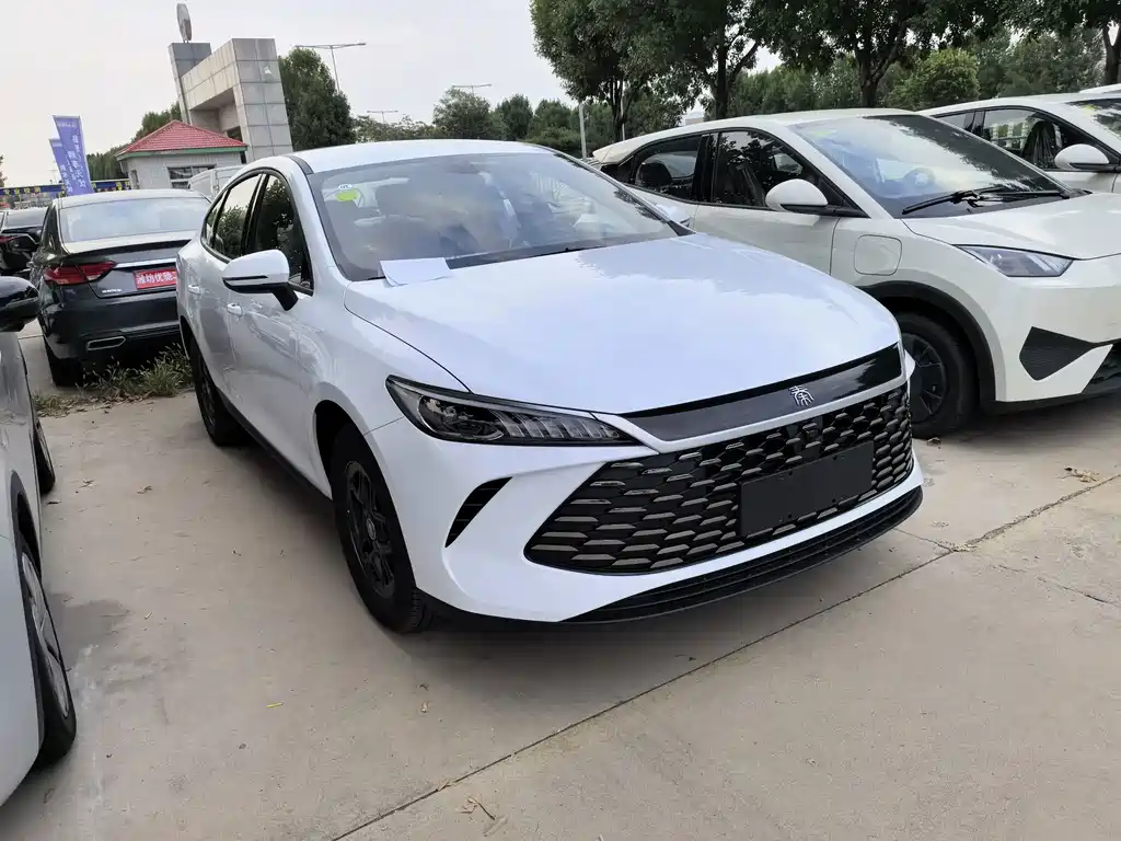 BYD Qin PLUS — фото 3