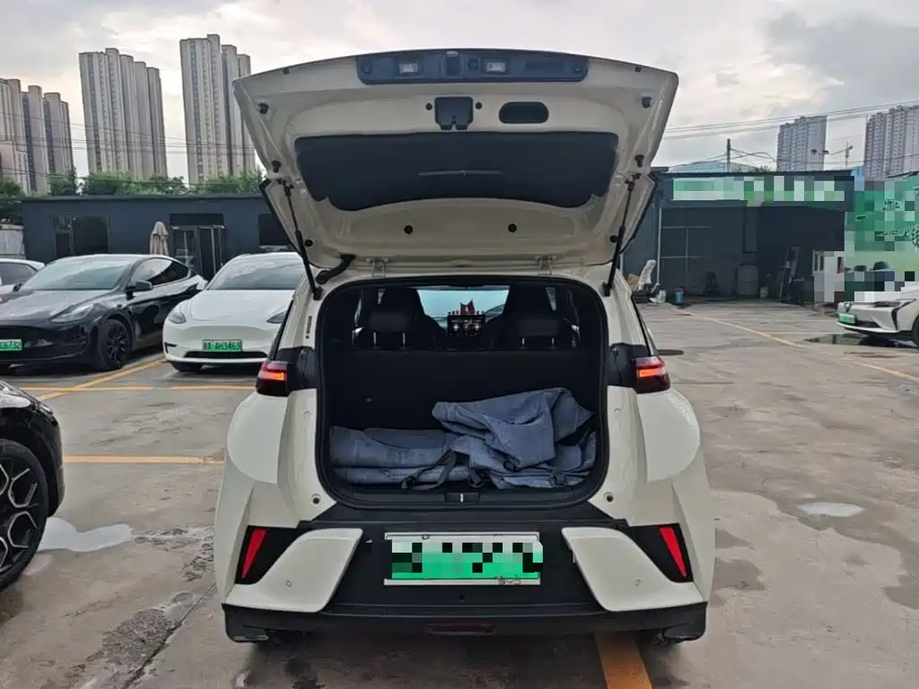 BYD Seagull — фото 19