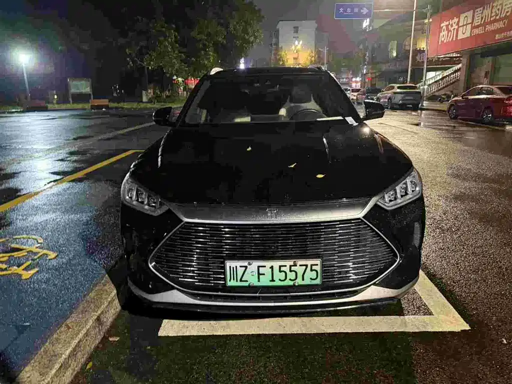 BYD PLUS New Energy — фото 2