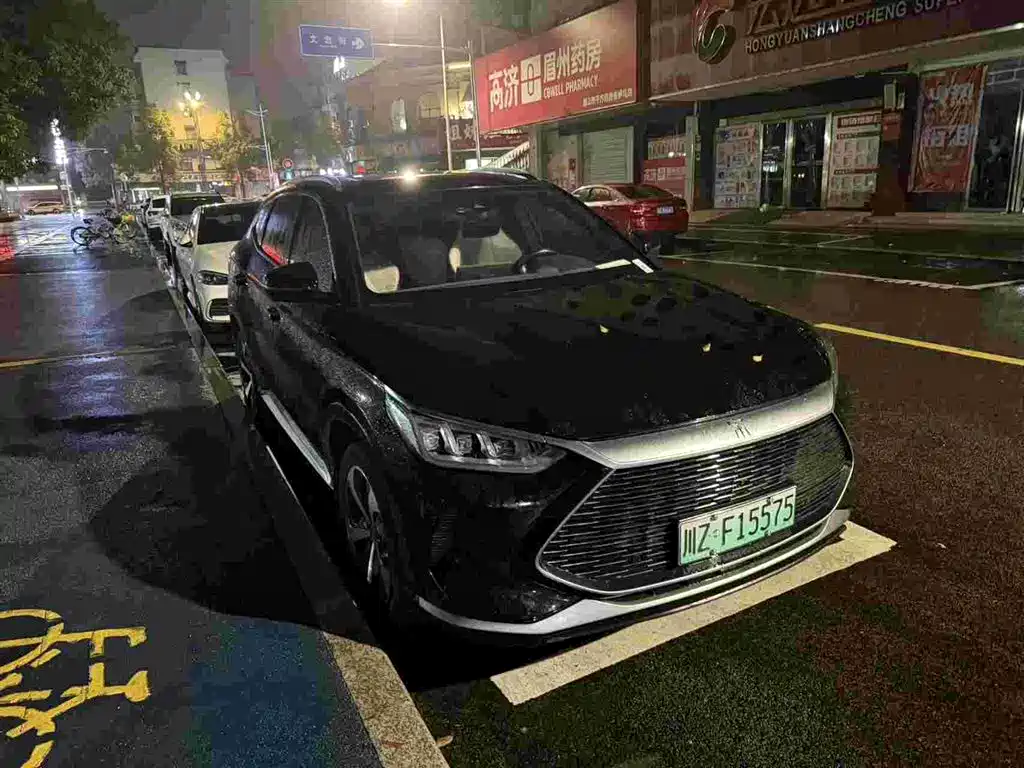 BYD PLUS New Energy — фото 3