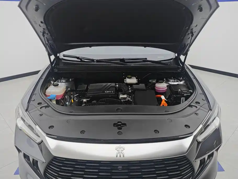 BYD Pro New Energy — фото 10
