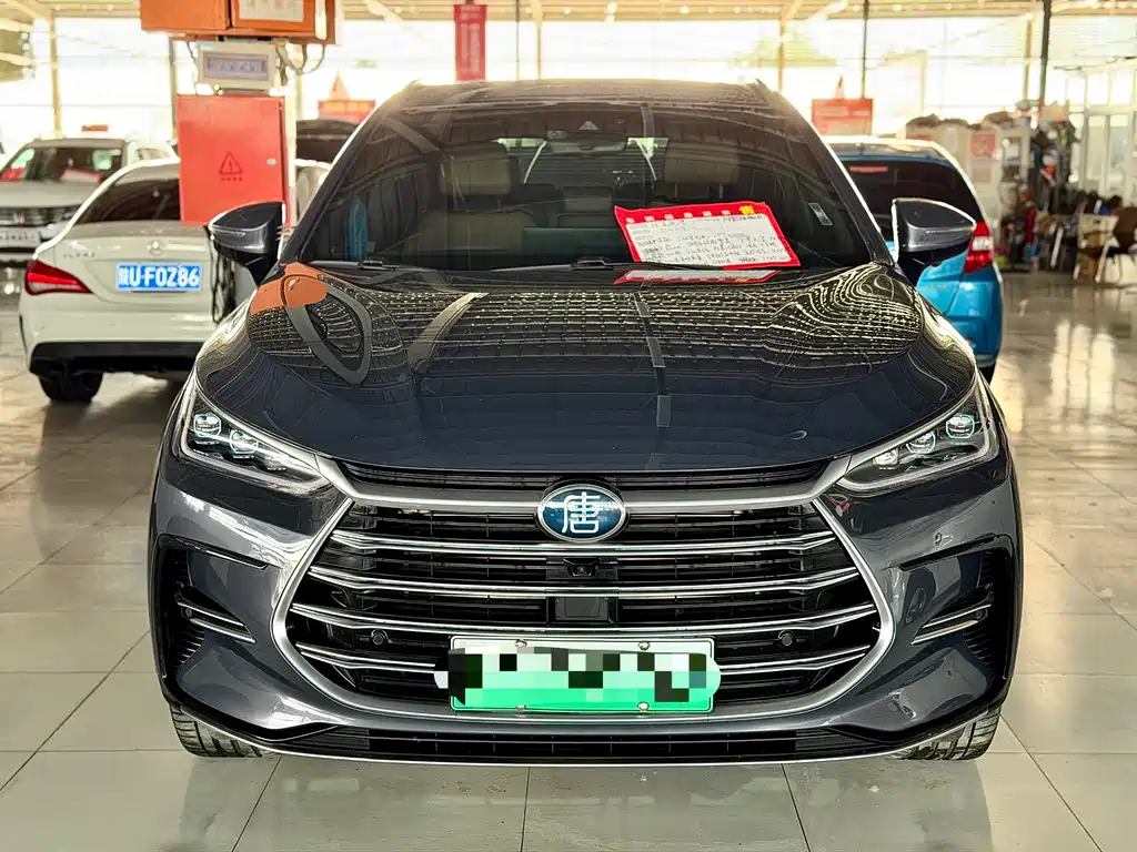 BYD Tang New Energy — фото 2