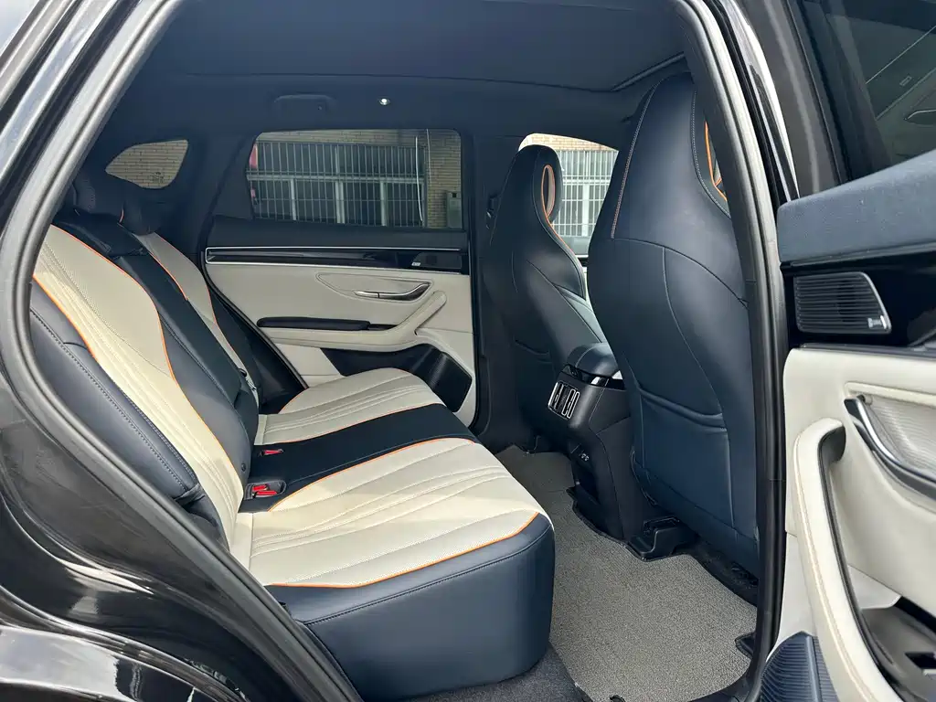 BYD PLUS New Energy — фото 13