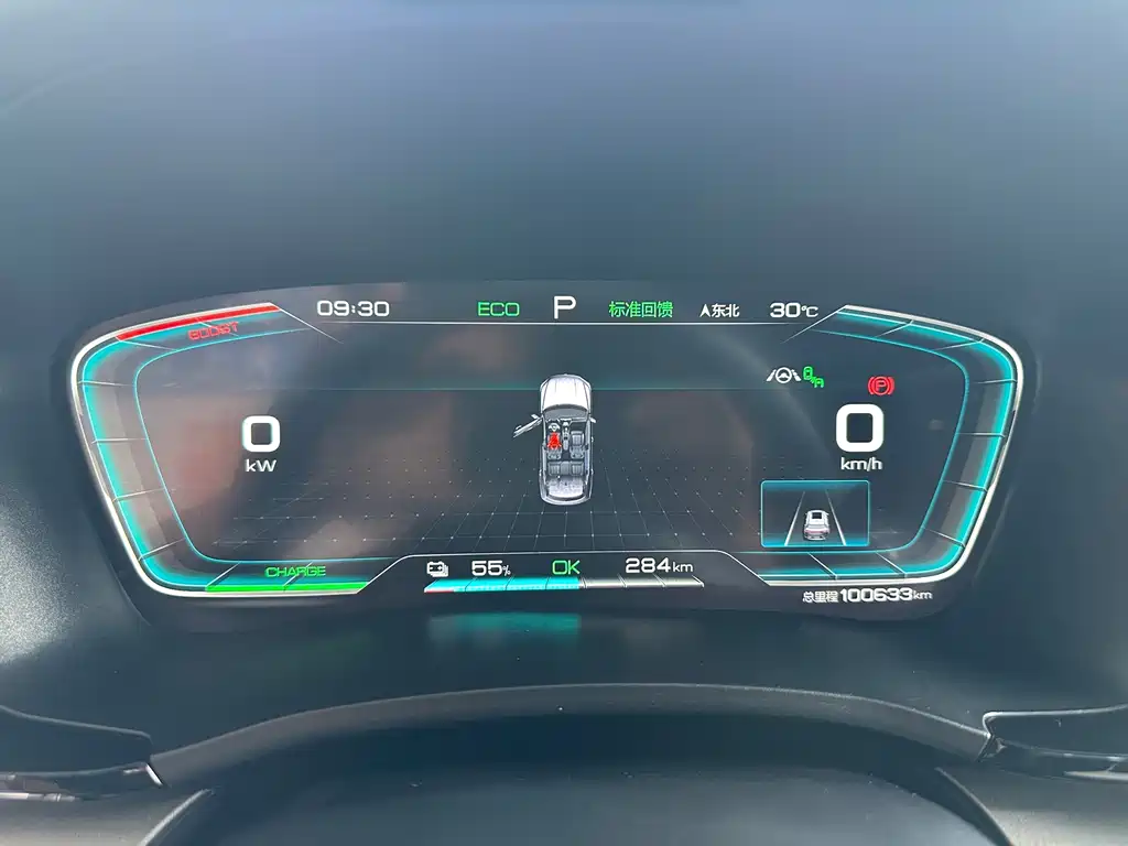 BYD PLUS New Energy — фото 19