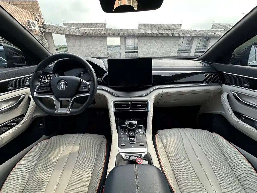 BYD PLUS New Energy — фото 10