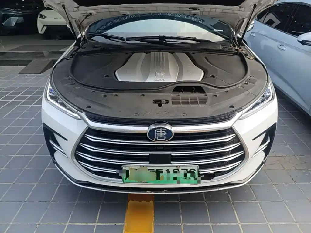 BYD Tang New Energy — фото 20