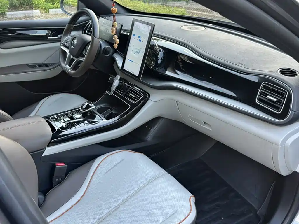 BYD Qin PLUS — фото 19