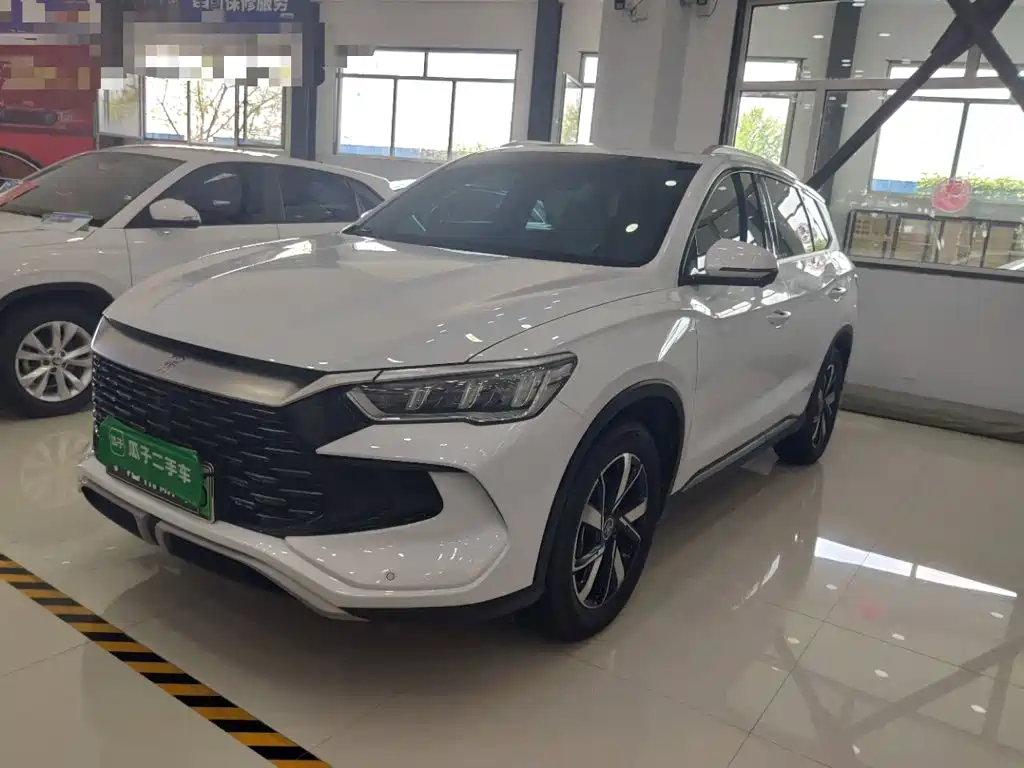 BYD Pro New Energy — фото 2