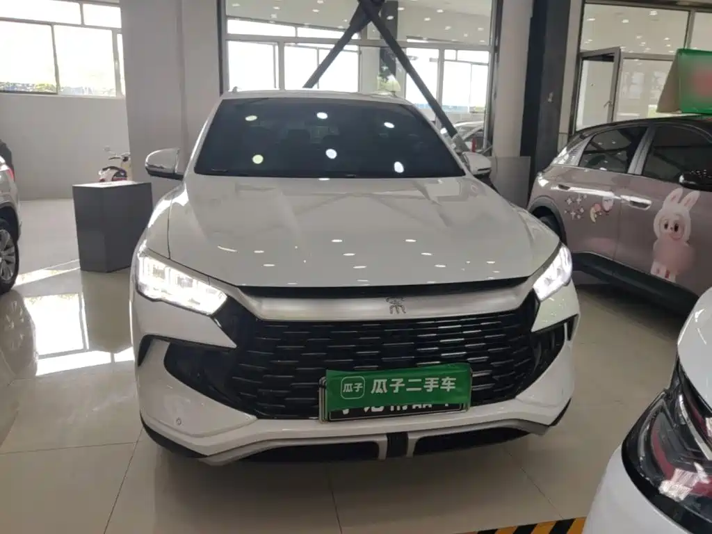 BYD Pro New Energy — фото 3