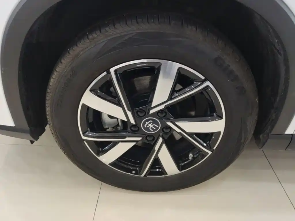 BYD Pro New Energy — фото 23