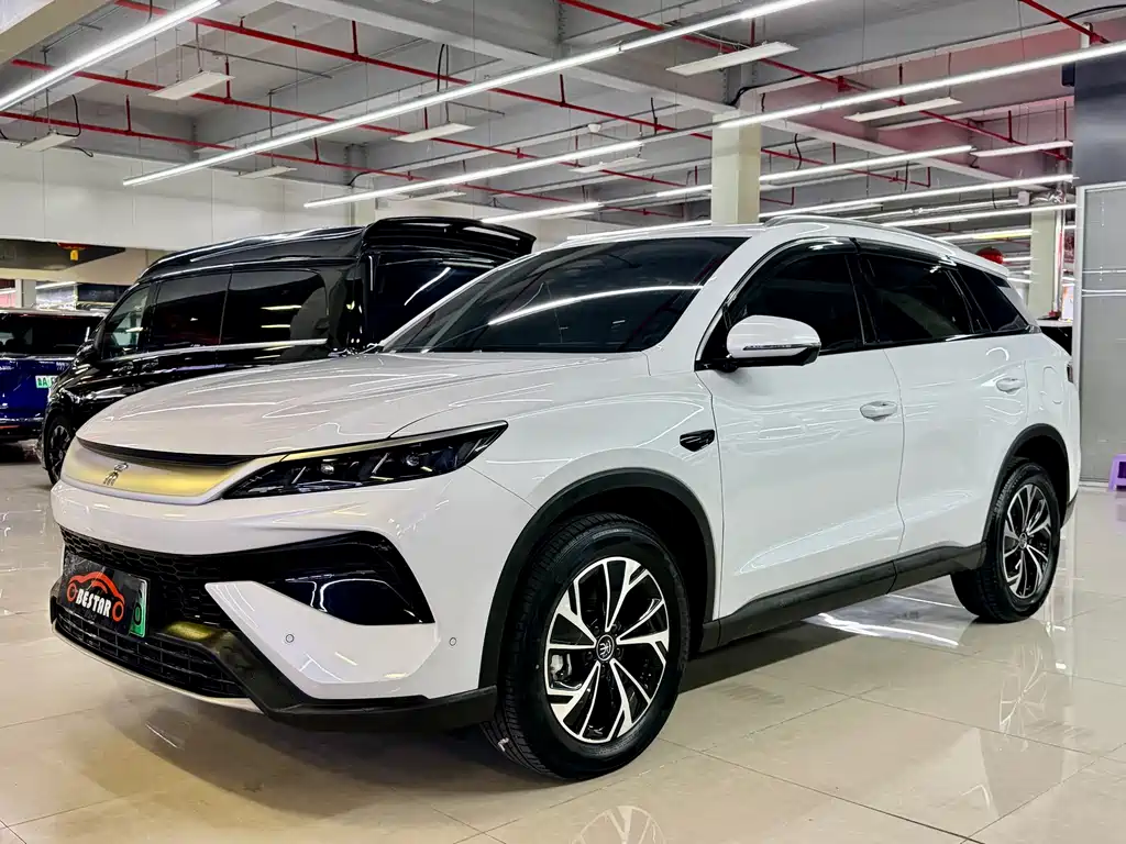 BYD Pro New Energy — фото 2