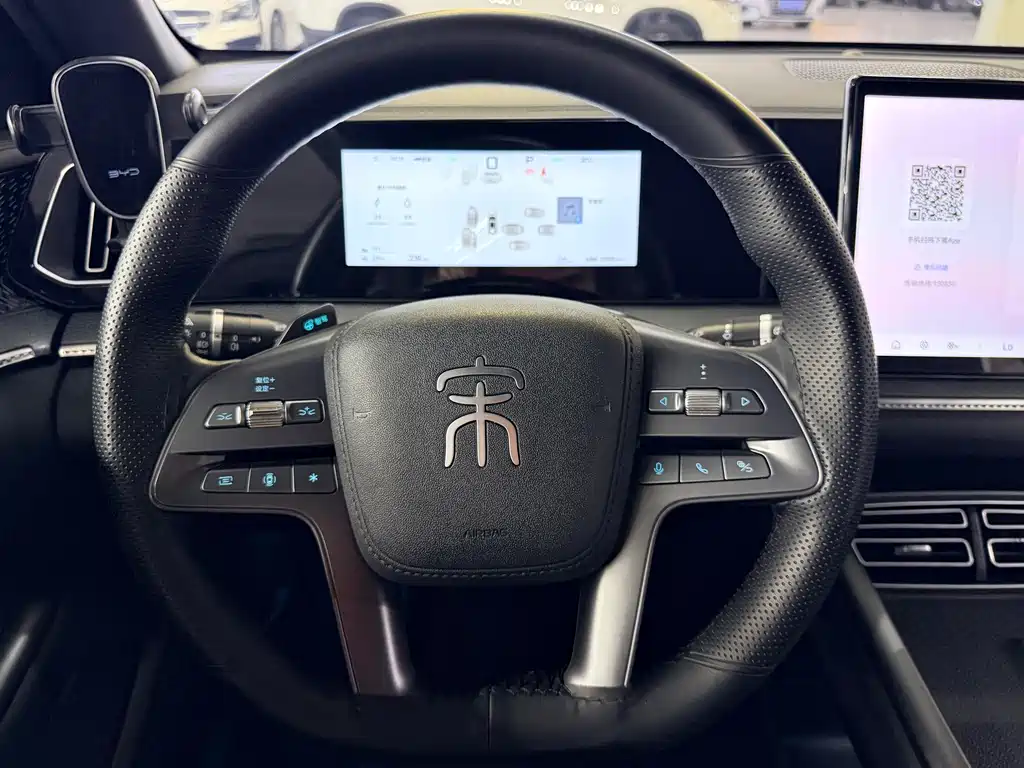 BYD Pro New Energy — фото 4