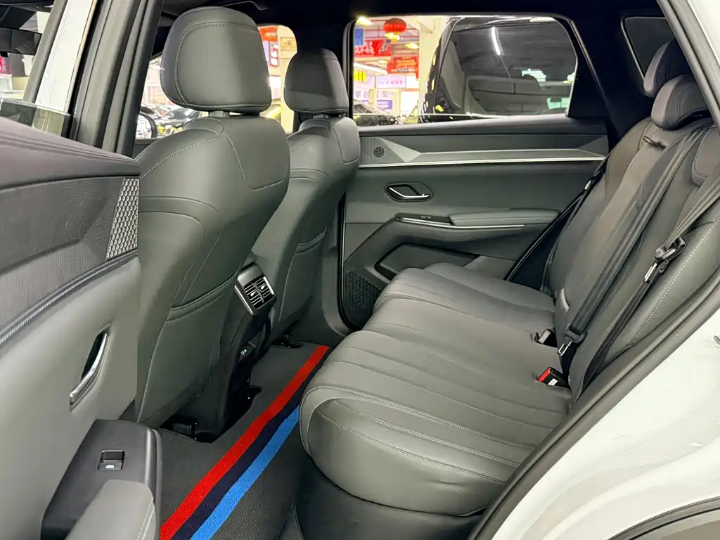 BYD Pro New Energy — фото 8