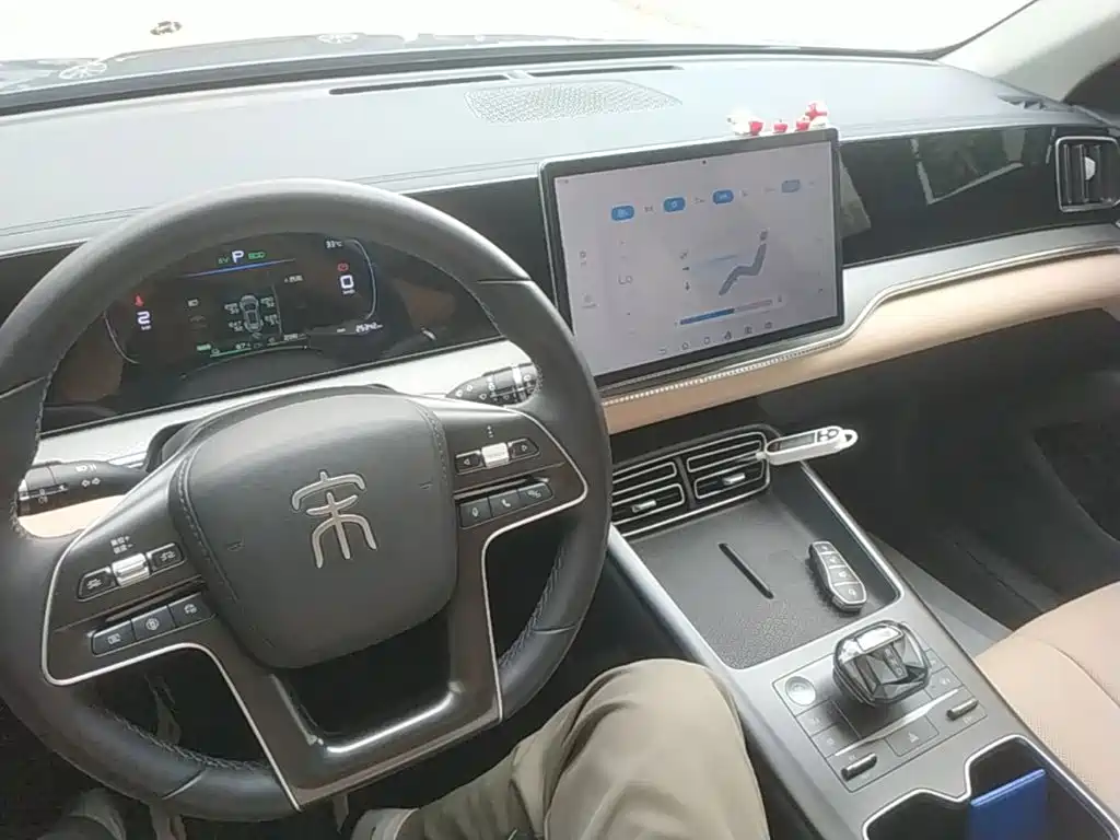 BYD Pro New Energy — фото 10